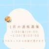 1月の通販募集いたします！