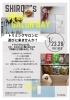 日時限定！愛犬と新たな体験ができるサルディ﻿！「OPEN SALON DAY開催のお知らせ＊トリミングしない日、つくりました」