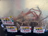 「冬の味覚🦀タグ付松葉がにを驚きの価格で大放出」