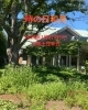 柔順、謙虚、無償の愛、言葉足らず、頑固「☆時の日和見〜毎日の時の力の使い方〜☆」