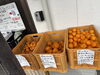 「みかんも販売してます！」