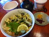 「一魚一会　本日の日替りランチ」