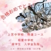 「桜の知らせが届きました！【福島区吉野/塾】」