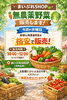 新鲜無農薬野菜を格安販売「まいぷれSHOPからのお知らせ｜無農薬野菜を販売します🥬」