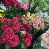 鮮度と想いを届ける、地域密着のフラワーショップ「花のみずの」です🌷