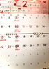 2月の営業予定です🗓️「【2月の営業案内】定休日・貸切営業・臨時休業のお知らせ／お好み焼き・鉄板焼きしぐれ／磯子区岡村」