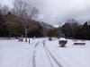 「本日の雪＆道路状況」