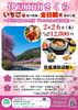 早春の伊豆で味覚と景色を満喫「伊豆函南さくら　いちご食べ放題・金目鯛釜めし　～伊豆の隠れた名所「かんなみの河津桜」～」