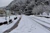 「雪景色」