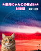 愛らしい猫で占う運勢 tabby🐈「🌟 杉並区版☆12星座占い 🌟まいぷれ☆星見にゃんこ・2/2〜2/8」