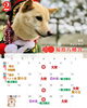 「【2025年12月】福島八幡宮　吉日カレンダー（イベントや授与品・授与所お休みの日程のご案内）」