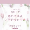 ご卒業ご入学・歓送迎会など「春のお花」ご予約受付中！-上越・新潟-