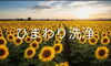 ひまわり洗浄で清潔と笑顔をお届け「【衝撃の9年目】洗剤をたくさん使えば綺麗になる…は、実は間違い！？」