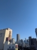 「気付けば2月、春が近づいてます」