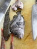 市場直送！新鮮魚介に笑顔咲く「ヒゲソリ鯛入荷！」