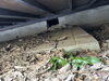 「【柏市・お庭の片付け】作業中に建物の不具合を発見。片付けのその先までサポート｜船橋市のSAJI」