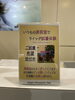 アマーレならウィッグ試着も対応「美容室でウィッグご試着体験はじめました」