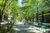 「寄り道冒険【習慣　行動　人生】」
