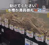救世主、ヘルプミー🦀❗️「助けてください❗️水槽が満蟹御礼🦀💦」