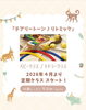 「🌱cheery tone ＆ paletteさん🎵リトミック ベビー＆トドラー定期クラス4月スタート！体験受付中🎵」
