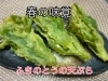 春の訪れ、ふきのとうの本格天ぷら「春の味覚「ふきのとうの天ぷら」はじめました」