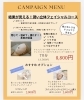「キャンペーンは石膏パック」