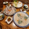 2月限定！活とらふぐてっちりコースがお得です！