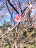 「2月4日、今日は何の日　　八王子市片倉町の個別指導学習塾『和泉学習研究所』～中高受験からその先の未来までサポート～」