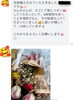 「【泉佐野市、貝塚市、熊取町、日根野】でお住まいの方で接客のいいお花屋さんをお探しの方へオススメの花屋りっちゅ情報」