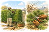冬の手入れ「🌱 2月の庭仕事【全6回】第3回」