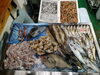 令和8年 2月5日店内「📣本日のお魚情報🐟」