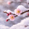 「🌷 今日は3月並みの暖かさみたいですね 🌷」