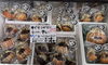 せこがに甲羅盛ラインナップ「🦀 「せこがに甲羅盛」禁漁期間でも大丈夫！一年中楽しめます🦀」