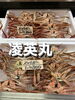 ズワイガニ「鮮魚入荷致しました」