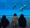水族館「水族館へ【日進市の小4～中学生の為の個別対応型フリースクール　松陰学院 初等部／中等部】」