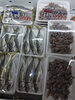 「京都府産 真アジ＆兵庫県産ほたるいか入荷しました！」