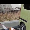老犬にも日々の刺激と楽しみを…！