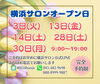 3月　サロンオープン日のおしらせ「3月・横浜サロン限定オープン日のお知らせ🌷 【横浜センター南駅・個室美容室 FRINGE～フリンジ～】」