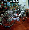 ファミリーサイクルタイプ「通学自転車情報🚲ベルト駆動も【医大通り自転車販売・修理のイズモバイシクル】」