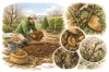 🌱 2月の庭仕事「🌱 2月の庭仕事【全6回】第5回」