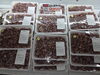 「兵庫県産 新物ボイルほたるいか入荷しました！」