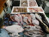 令和8年2月7日 店内「📣本日のお魚情報🐟」