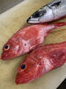 本日仕入れた新鮮な旬の魚「キンキ入荷！」