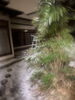 前橋はうっすらと「雪」です。「平成7年創業。あなたのお悩みを必ず解決致します。無理な営業は一切致しません。ご連絡お待ちしています。」