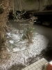 前橋はうっすらと雪です。「1995年の創業から育んだ確かな探偵力で必ず「あなた」の抱えている問題を解決致します。無理な営業は一切致しません。ご安心下さい。」
