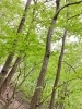 「自己紹介🌿西多摩（青梅・羽村・福生・あきる野・西多摩郡・八王子）でお庭造りは『庭や植太』へご相談ください」