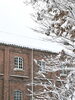 「【2/8（日） 赤れんがパークの雪情報❄️】」