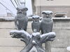 🦉三羽仲良く雪を被っています「⛩️ほんのり雪化粧⛩️」