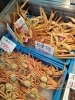「朝一から香住にホタルイカを仕入れにいきました」