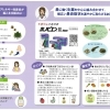 眠くなりにくい鼻炎ケア🌿ホノビエン錠deuxと漢方相談のご案内